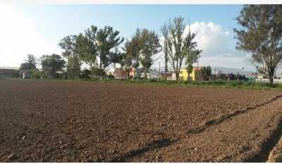 Residential Land For Sale in Soledad De Graciano Sanchez, Mexico