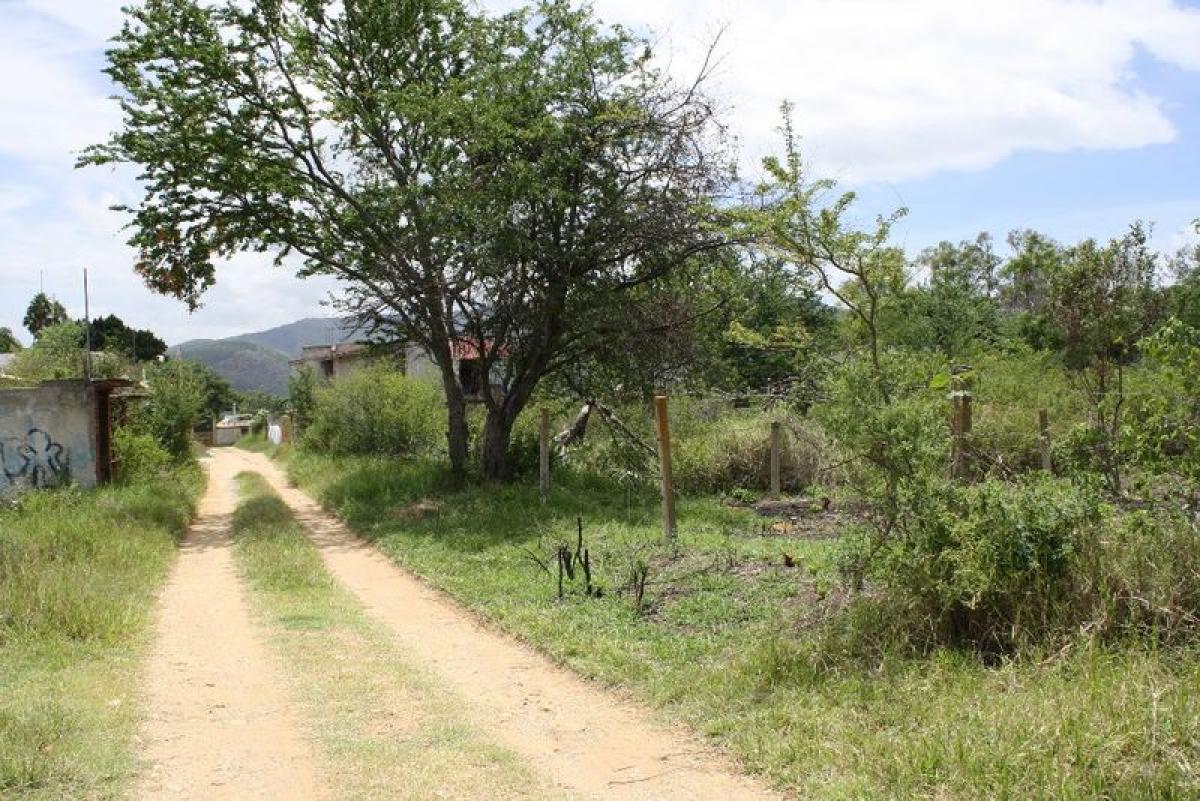 Picture of Residential Land For Sale in Oaxaca, Oaxaca, Mexico