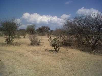 Residential Land For Sale in Tula De Allende, Mexico