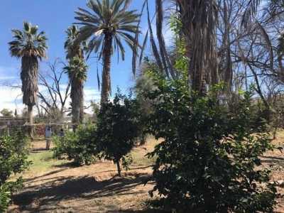 Residential Land For Sale in Lerdo, Mexico