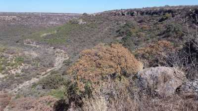 Residential Land For Sale in Lagos De Moreno, Mexico