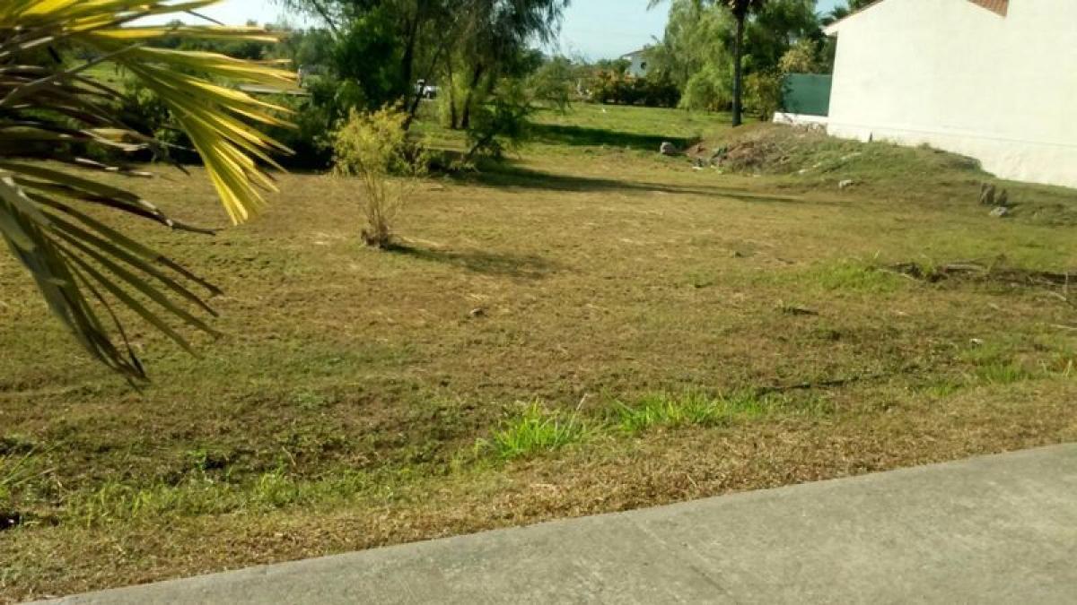 Picture of Residential Land For Sale in Bahia De Banderas, Nayarit, Mexico