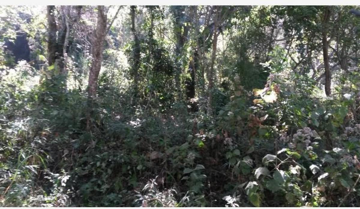 Picture of Residential Land For Sale in Chiapas, Chiapas, Mexico