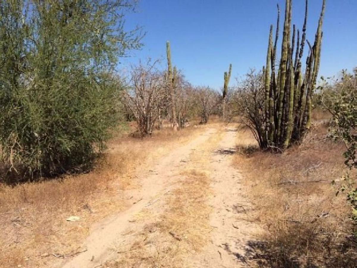 Picture of Development Site For Sale in Baja California Sur, Baja California Sur, Mexico