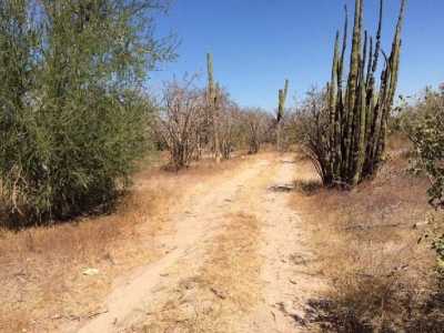Development Site For Sale in Baja California Sur, Mexico