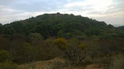 Residential Land For Sale in Tapalpa, Mexico