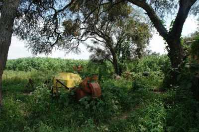 Residential Land For Sale in Tala, Mexico