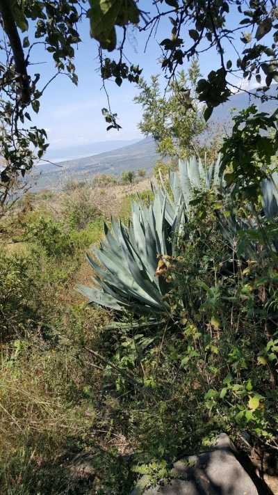 Residential Land For Sale in Tapalpa, Mexico