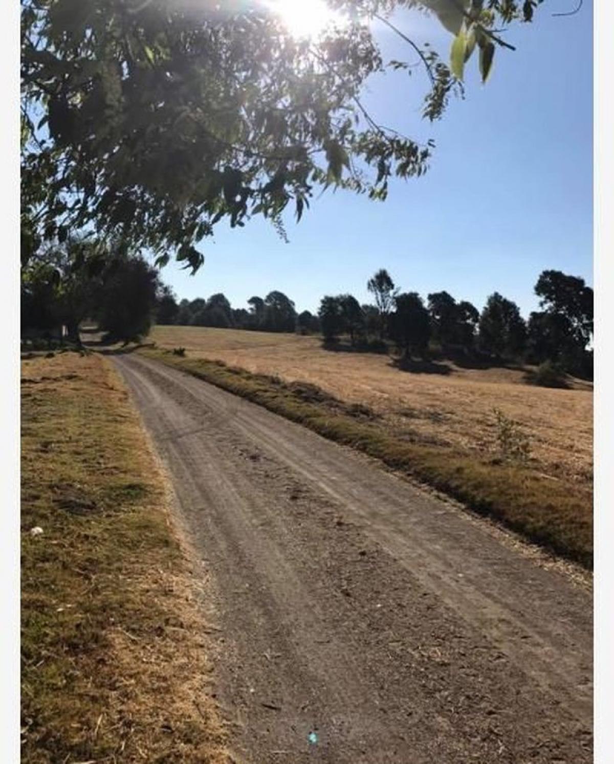 Picture of Residential Land For Sale in Tlayacapan, Morelos, Mexico