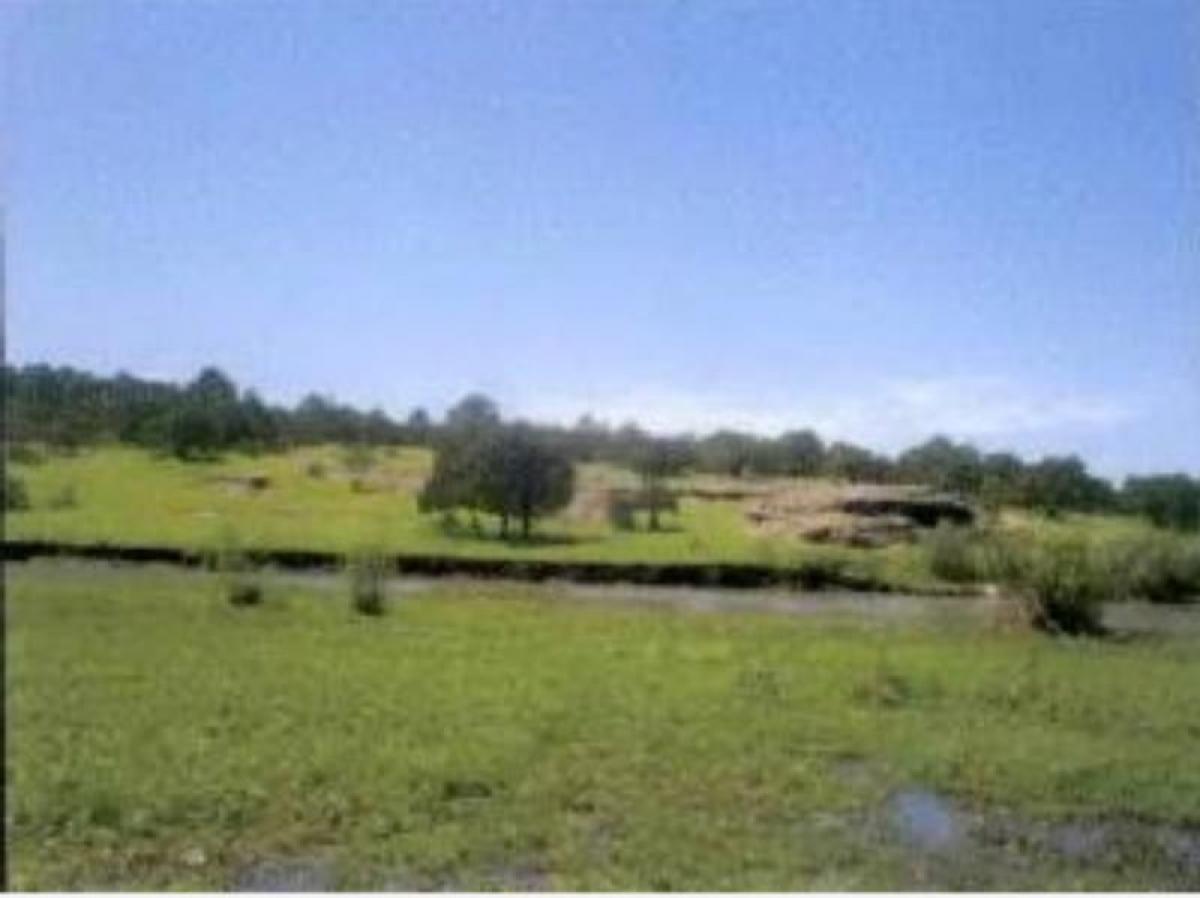 Picture of Residential Land For Sale in Sonora, Sonora, Mexico
