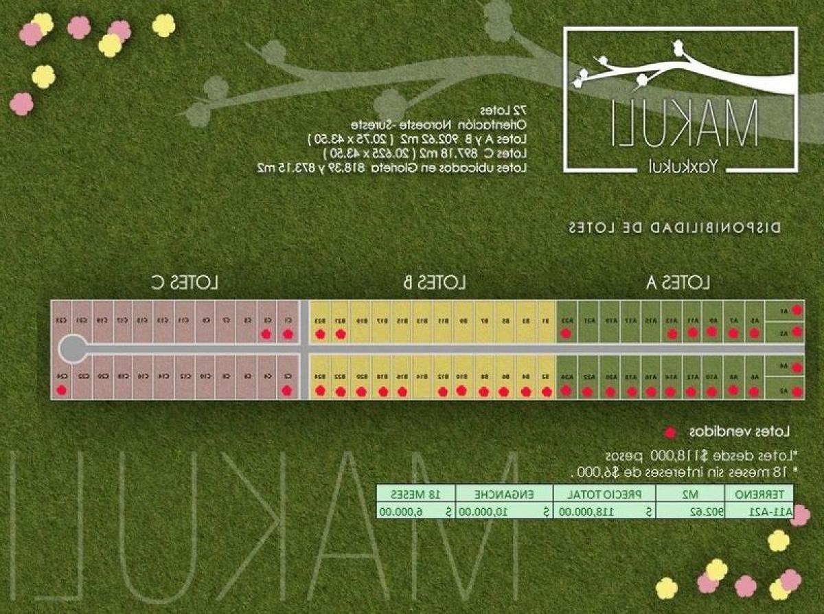 Picture of Residential Land For Sale in Yaxkukul, Yucatan, Mexico