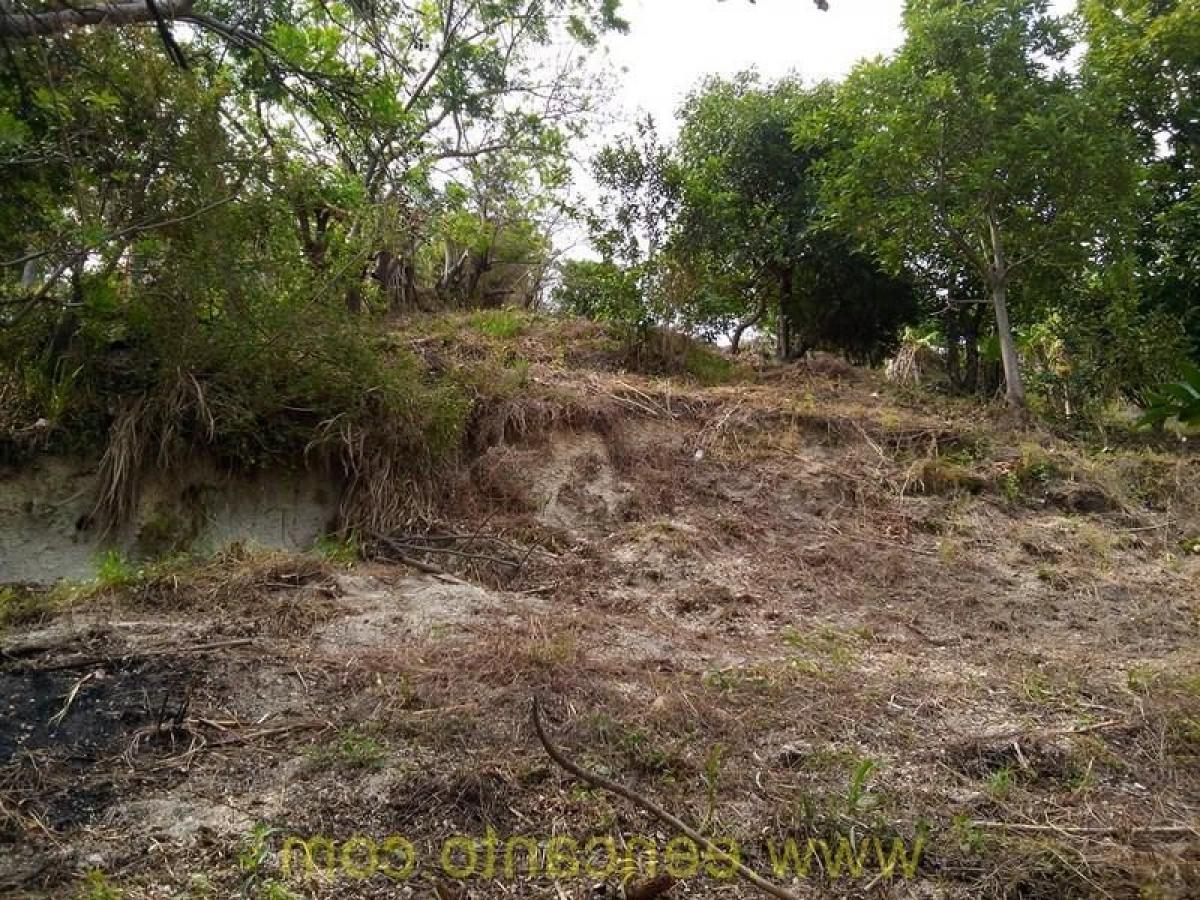 Picture of Residential Land For Sale in Nayarit, Nayarit, Mexico