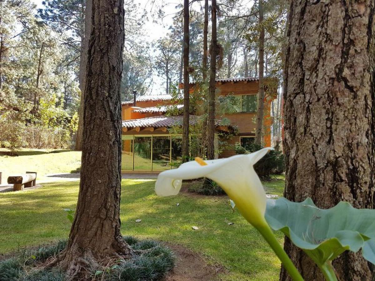 Picture of Home For Sale in Tapalpa, Jalisco, Mexico