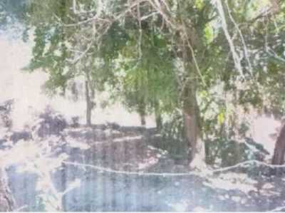 Residential Land For Sale in Tomatlan, Mexico