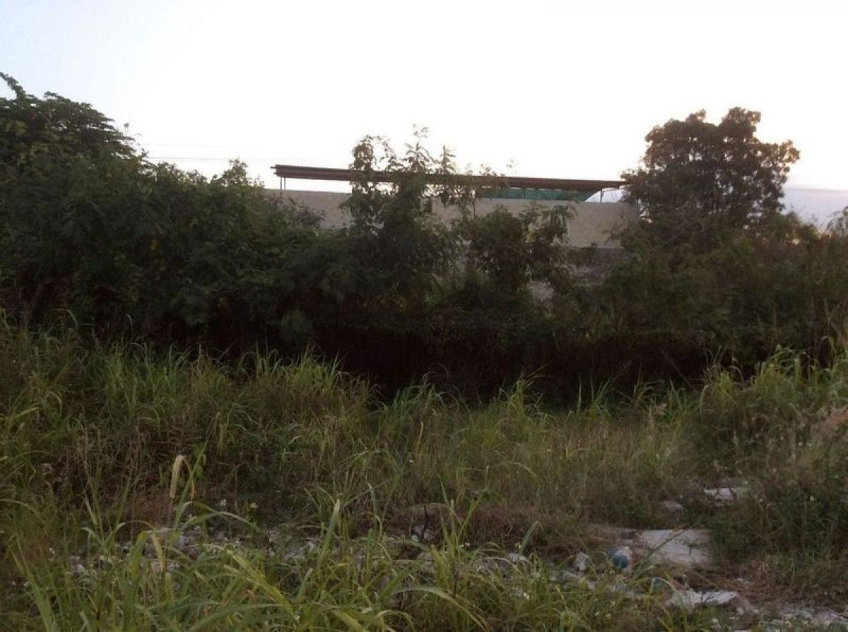 Picture of Residential Land For Sale in Solidaridad, Quintana Roo, Mexico