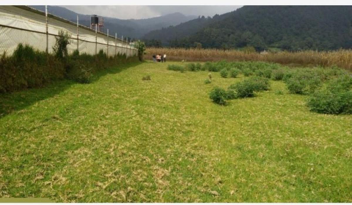 Picture of Residential Land For Sale in Amecameca, Mexico, Mexico