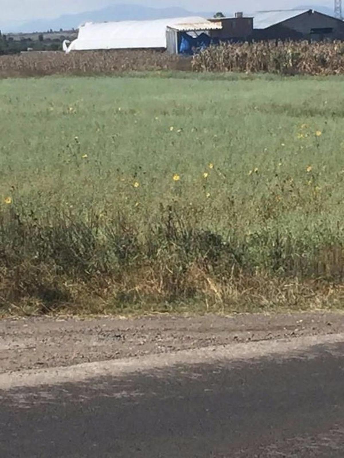 Picture of Residential Land For Sale in Soyaniquilpan De Juarez, Mexico, Mexico