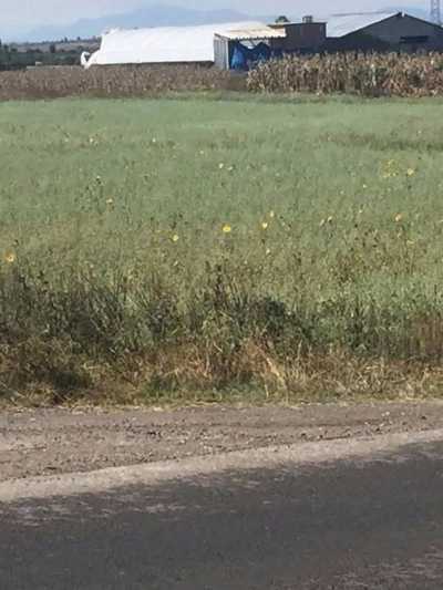 Residential Land For Sale in Soyaniquilpan De Juarez, Mexico