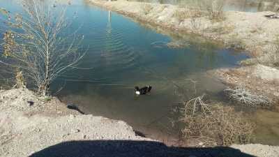 Development Site For Sale in Chihuahua, Mexico