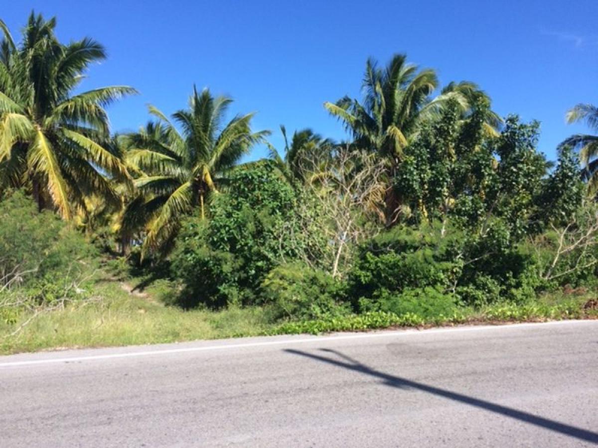 Telchac Puerto, Telchac Puerto, Yucatan, Mexico Residential Land For