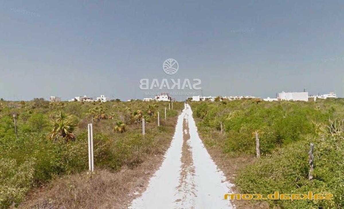 Picture of Residential Land For Sale in Dzemul, Yucatan, Mexico