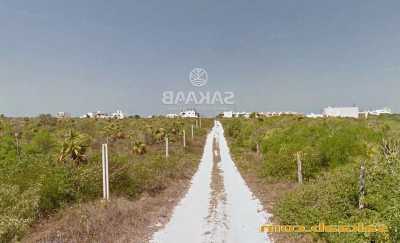 Residential Land For Sale in Dzemul, Mexico
