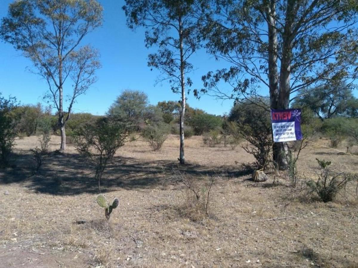 Picture of Residential Land For Sale in Lagos De Moreno, Jalisco, Mexico