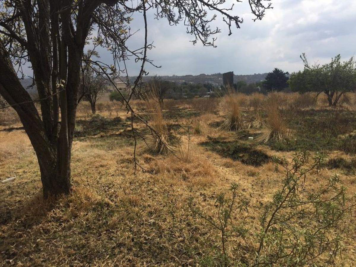 Picture of Residential Land For Sale in Tenango Del Valle, Mexico, Mexico