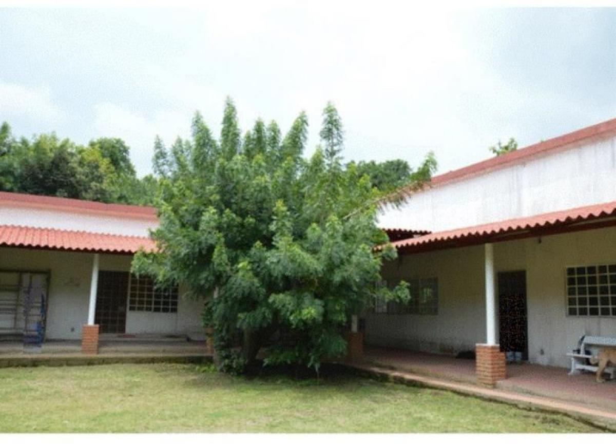 Picture of Home For Sale in Totolapan, Morelos, Mexico