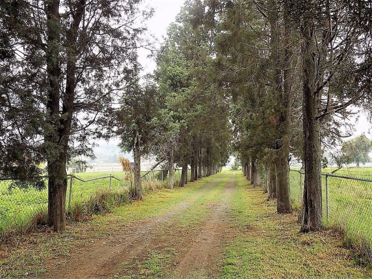 Picture of Development Site For Sale in Puebla, Puebla, Mexico