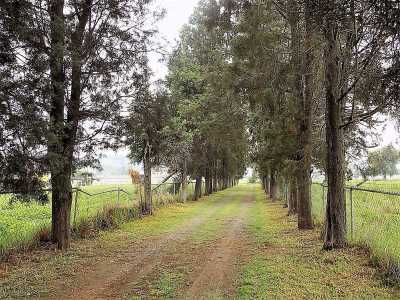 Development Site For Sale in Puebla, Mexico