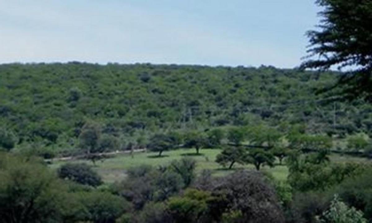 Picture of Residential Land For Sale in Guanajuato, Guanajuato, Mexico