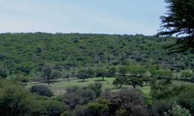 Residential Land For Sale in Guanajuato, Mexico