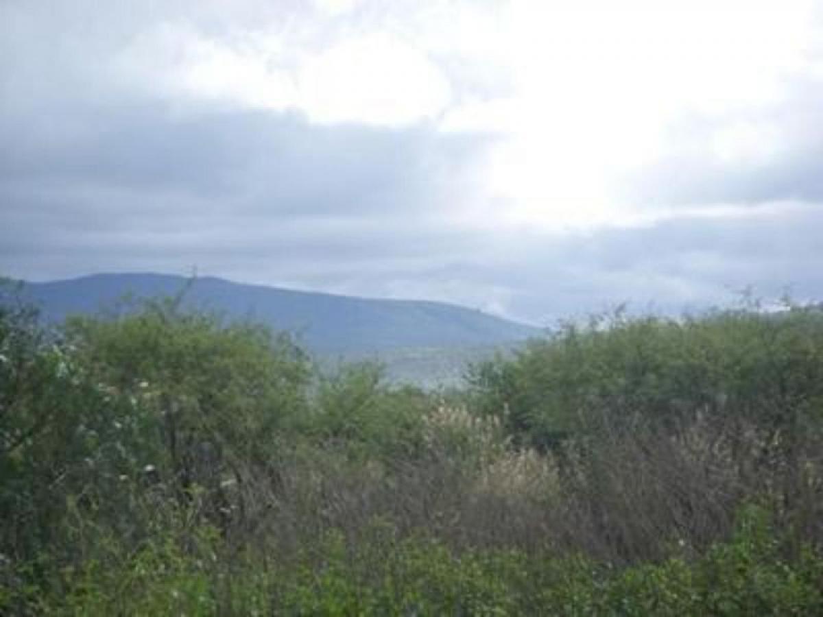 Picture of Residential Land For Sale in Guanajuato, Guanajuato, Mexico