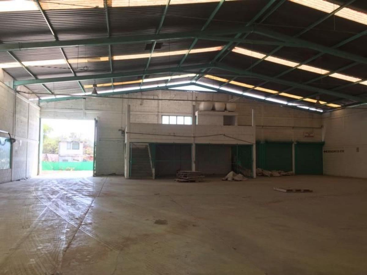 Picture of Other Commercial For Sale in Tehuacan, Puebla, Mexico