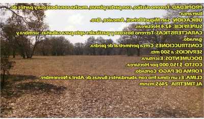 Residential Land For Sale in Amealco De Bonfil, Mexico