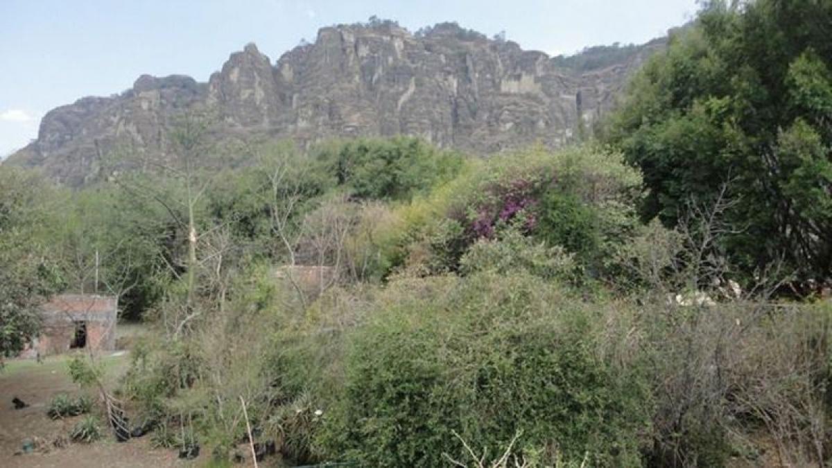 Picture of Residential Land For Sale in Tepoztlan, Morelos, Mexico