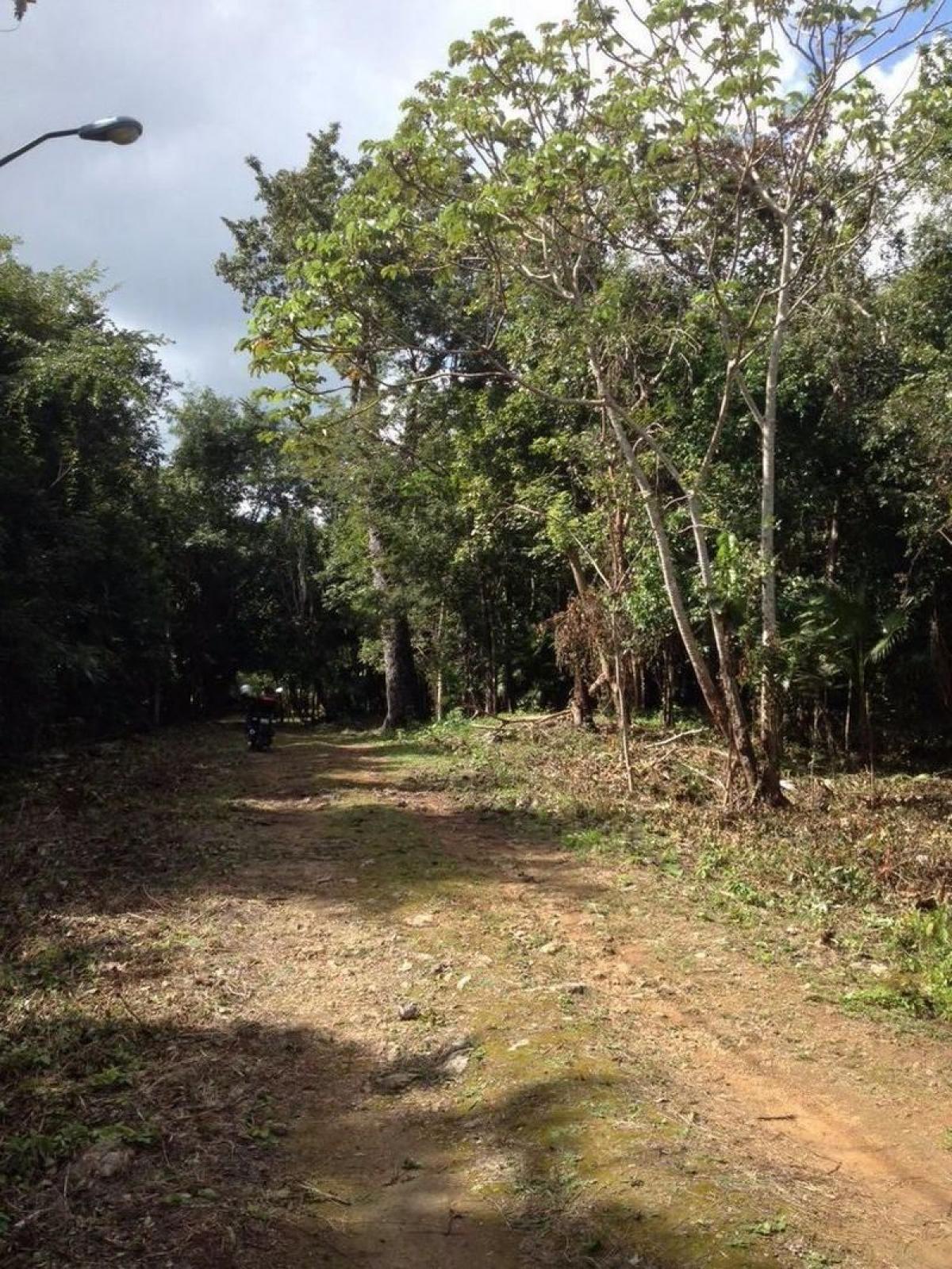 Picture of Development Site For Sale in Benito Juarez, Mexico City, Mexico