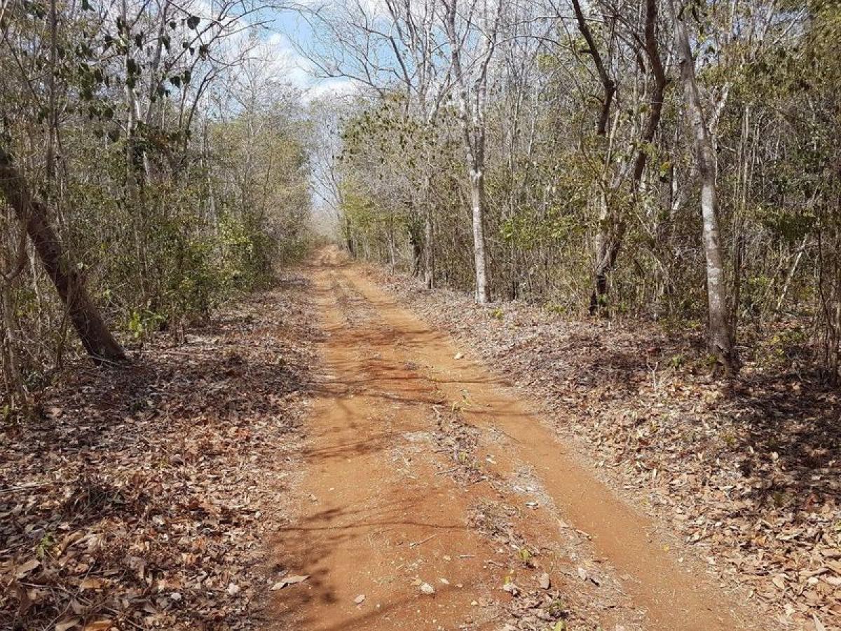 Picture of Development Site For Sale in Yucatan, Yucatan, Mexico