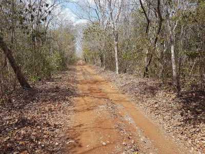 Development Site For Sale in Yucatan, Mexico
