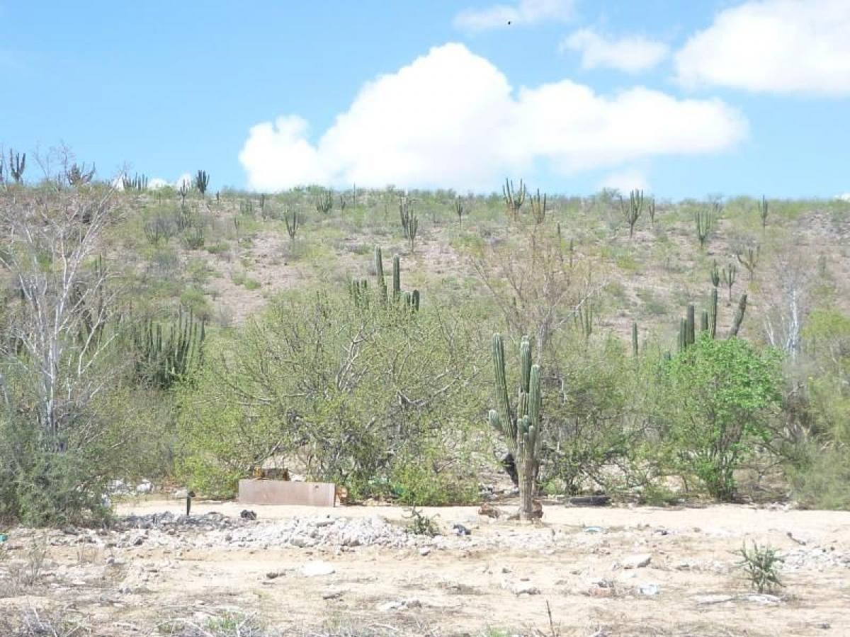 Picture of Residential Land For Sale in La Paz, Baja California Sur, Mexico