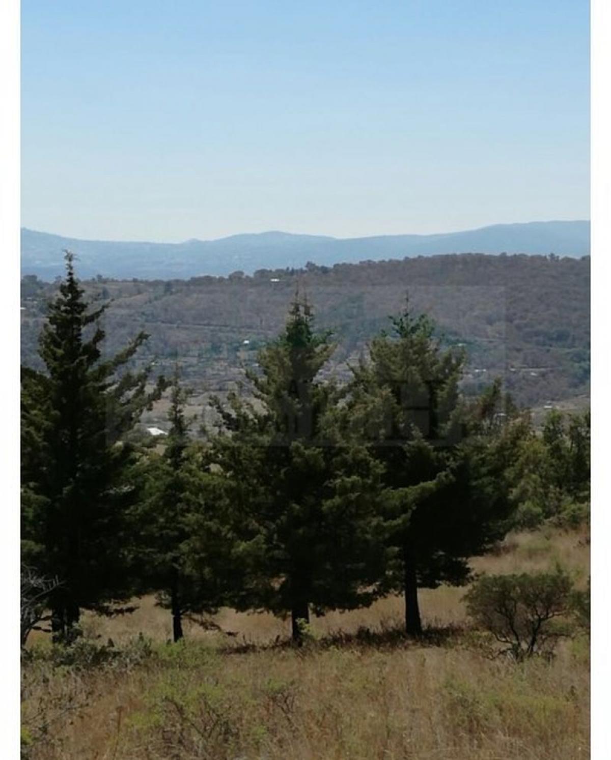 Picture of Residential Land For Sale in Amealco De Bonfil, Queretaro, Mexico