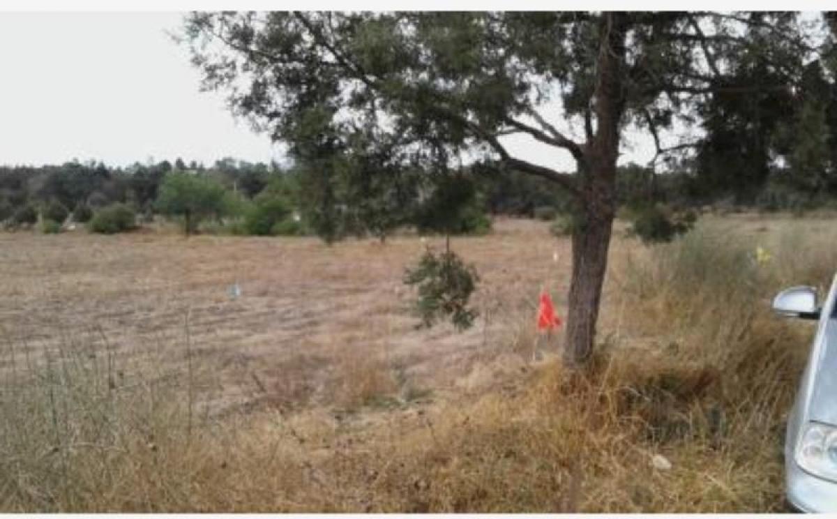 Picture of Residential Land For Sale in Tzompantepec, Tlaxcala, Mexico