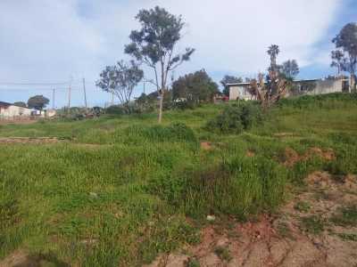 Residential Land For Sale in Ensenada, Mexico