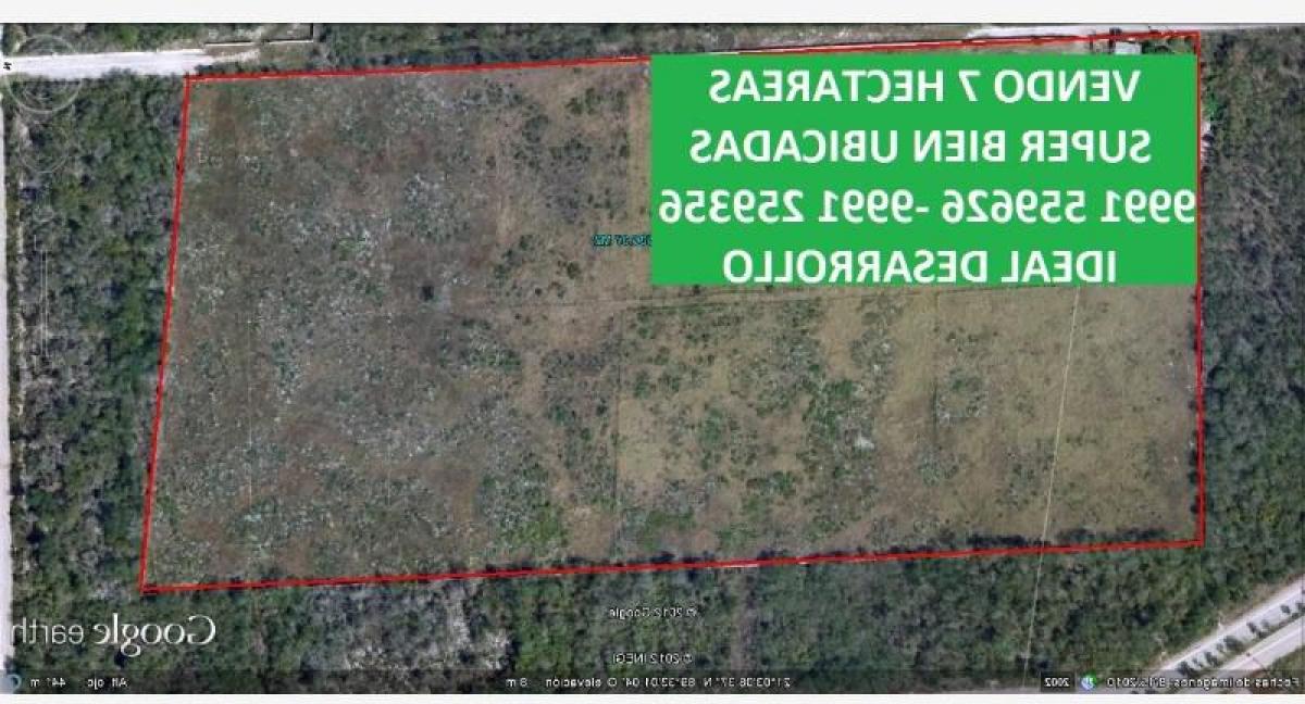 Picture of Residential Land For Sale in Merida, Yucatan, Mexico