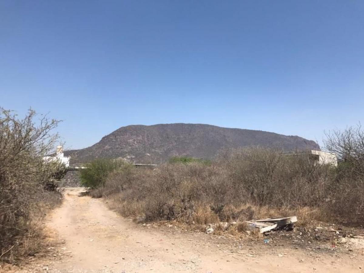 Picture of Residential Land For Sale in Hidalgo, Hidalgo, Mexico