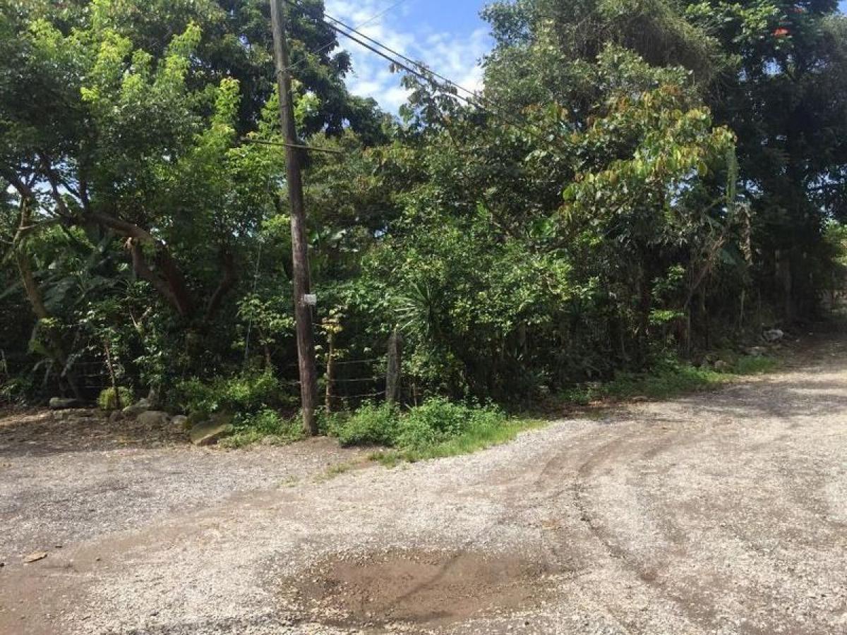 Picture of Residential Land For Sale in Linares, Nuevo Leon, Mexico