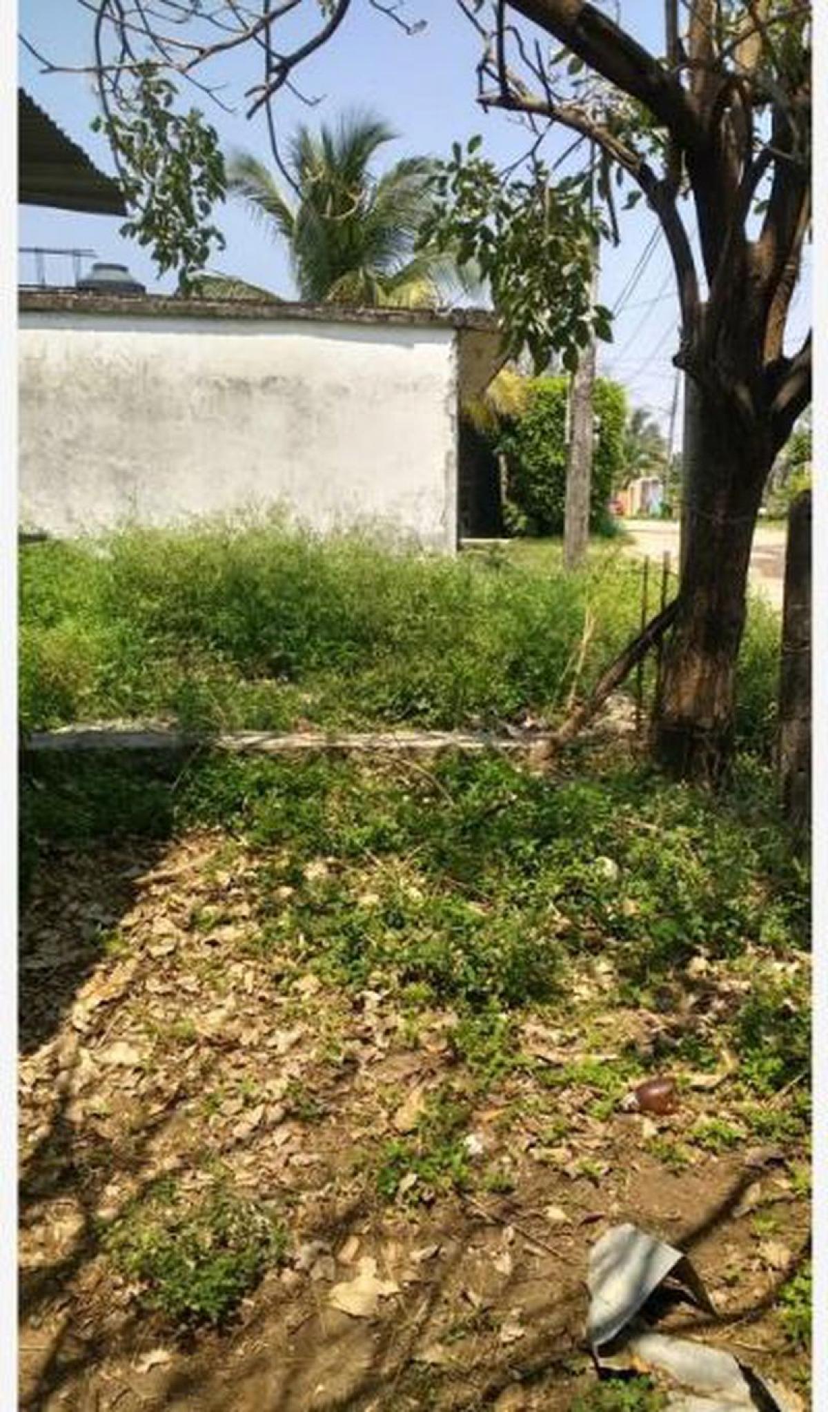 Picture of Residential Land For Sale in Tijuana, Baja California, Mexico