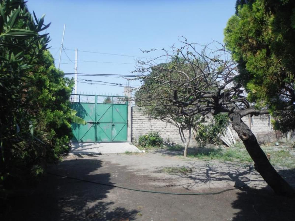 Picture of Home For Sale in Cuautla, Jalisco, Mexico
