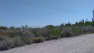 Development Site For Sale in Cienega De Flores, Mexico